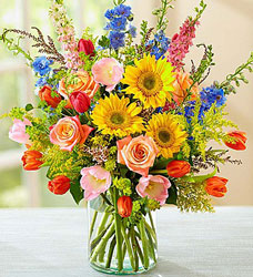 Spring Sensation Davenport Florist - Same Day Flower Delivery - Flower Power 